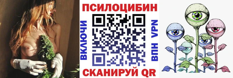 Галлюциногенные грибы мицелий купить наркотик Баксан